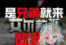 [未知][用户投稿]网易新版艾尔端