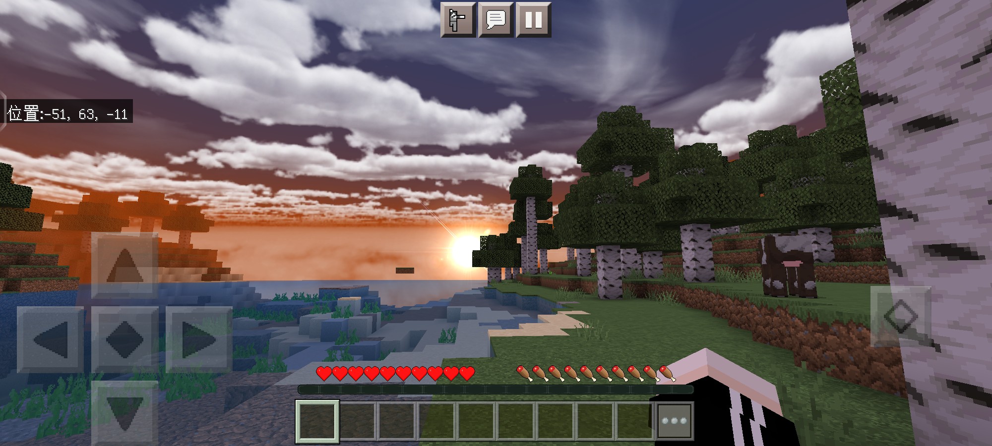 Screenshot_2023_0310_222650_com.mojang.minecraftpe.jpg
